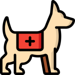 rescue-dog