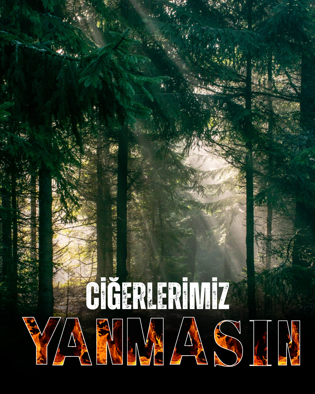 CİĞERLERİMİZ YANMASIN…